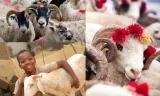 Kurbanlık Bağışı Aile Üyeleri Adına Yapılabilir mi?