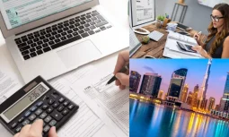 Dubai De Muhasebe Hizmeti Yasal Süreçleri Nasıl Destekler?