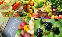 Organik Meyve Nedir?