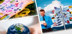Approaching the Phenomenon of Translation in Written Translation