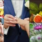 B12 Vitaminin Faydaları Ve B12 İçeren Besinler Nedir?