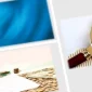 Repo nedir