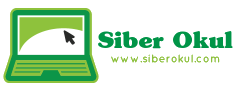 Siberokul.com Logo